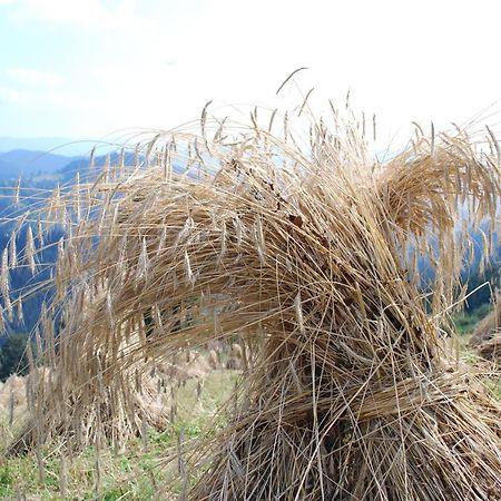 Farm Stay Rotovnik - Plesnik Slovenj Gradec Bagian luar foto