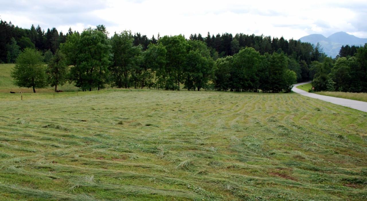 Farm Stay Rotovnik - Plesnik Slovenj Gradec Bagian luar foto