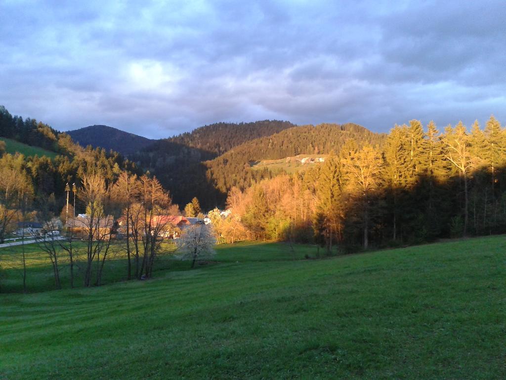 Farm Stay Rotovnik - Plesnik Slovenj Gradec Bagian luar foto