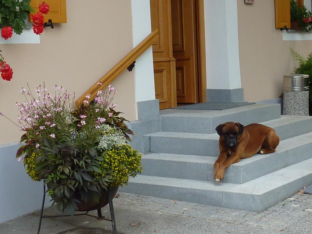 Farm Stay Rotovnik - Plesnik Slovenj Gradec Bagian luar foto