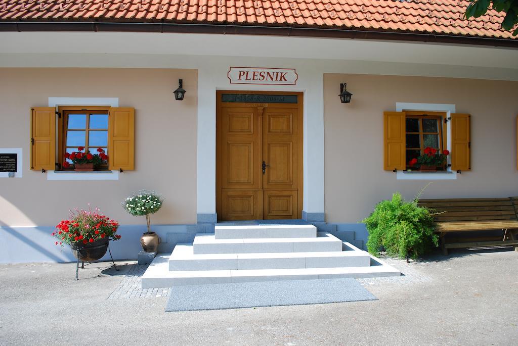 Farm Stay Rotovnik - Plesnik Slovenj Gradec Bagian luar foto